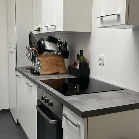 Jolie Dans Maison Renovee, Beautifull In Shared House Roubaix